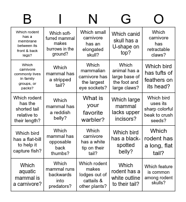 Wildlife Features Bingo Card