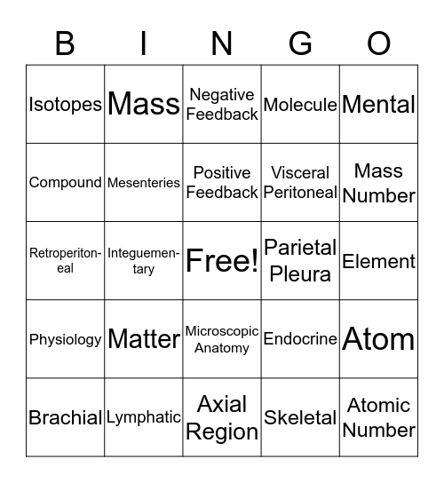 anatomy Bingo Card