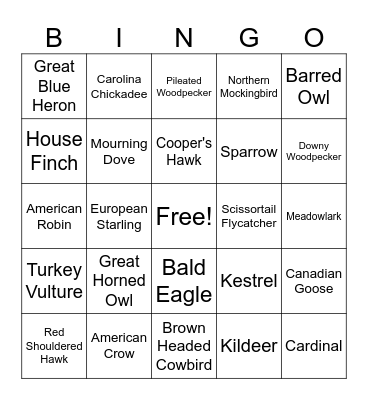 Bird Bingo Card