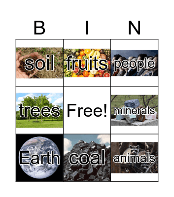 The Earth Bingo Card