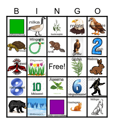 Ojibwe bingo Card