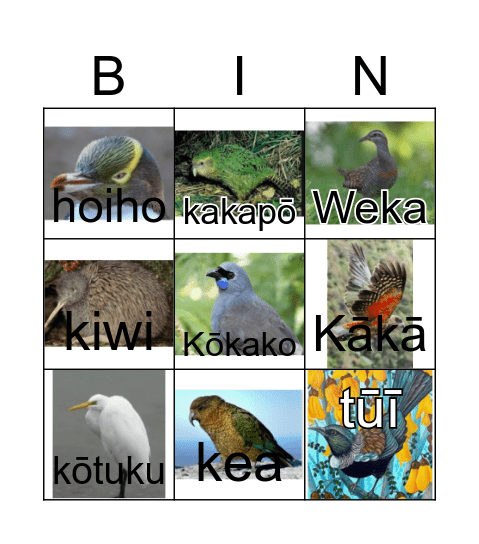 NZ Native Birds Bingo Card