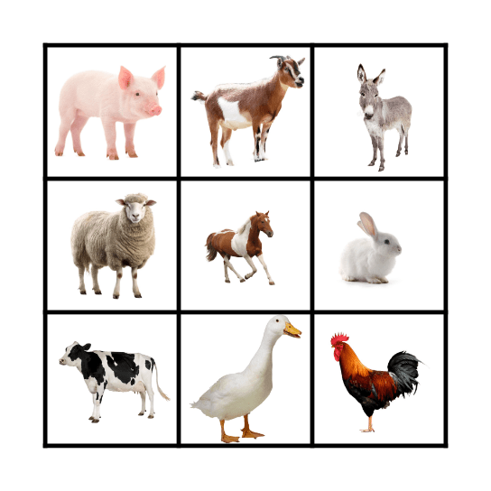 FARM ANIMALS BINGO Card