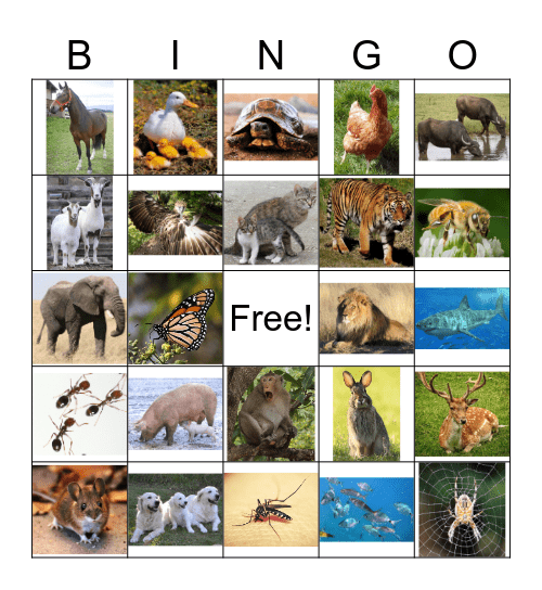 Bingo ng mga Hayop Bingo Card