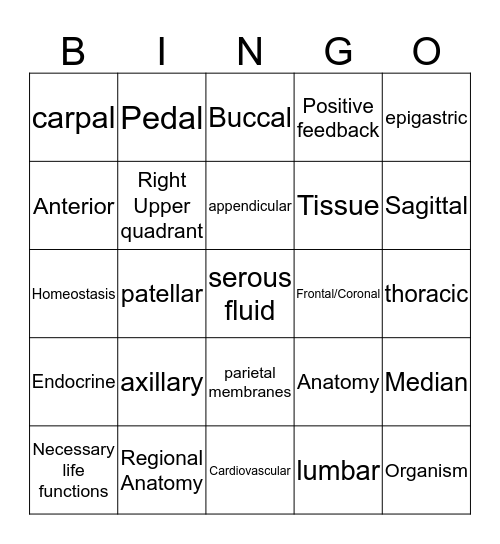 Anatomy Chapter 1 Bingo Card