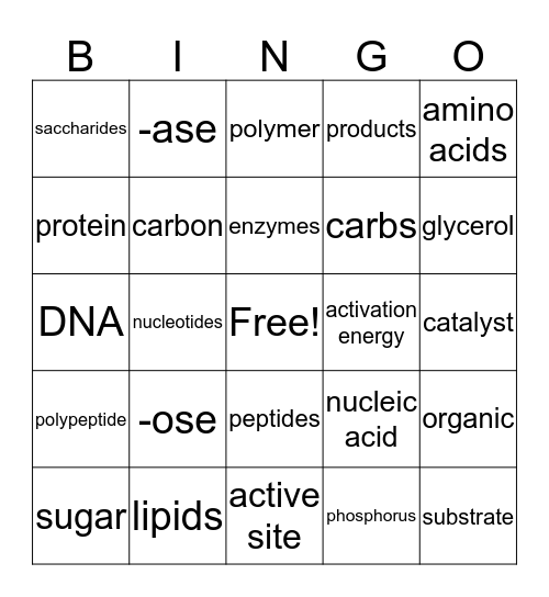 Biomolecules and Enzymes Bingo Card