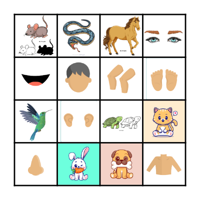 Animals / Body Bingo Card