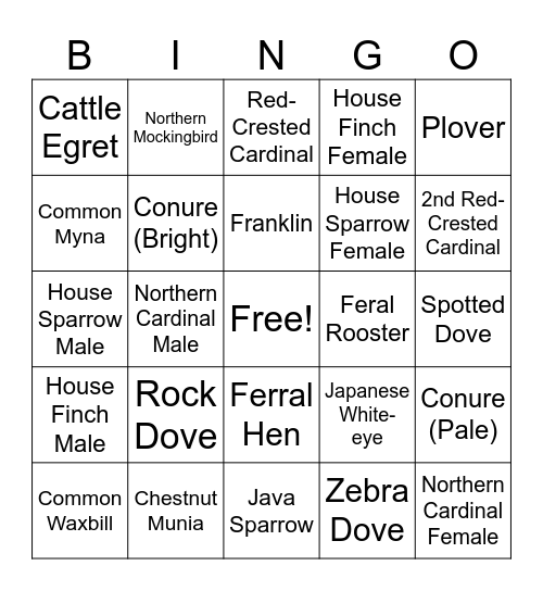 Backyard Bird Bingo Card