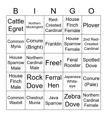 Backyard Bird Bingo Card