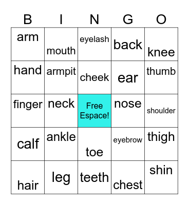 Body  parts Bingo Card