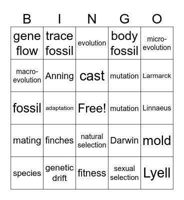Sc.8 Topic 5 Bingo Card