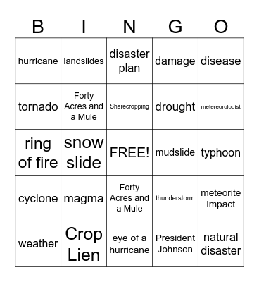 Natural disaster bingo Card