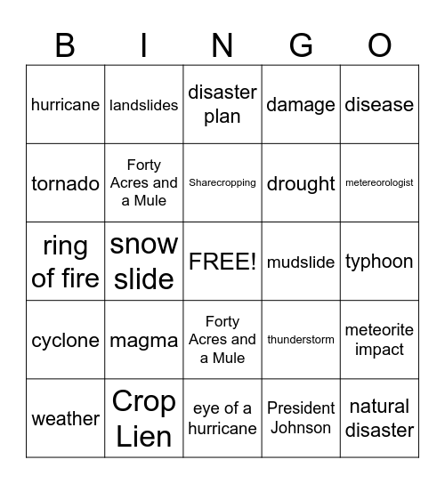 Natural disaster bingo Card