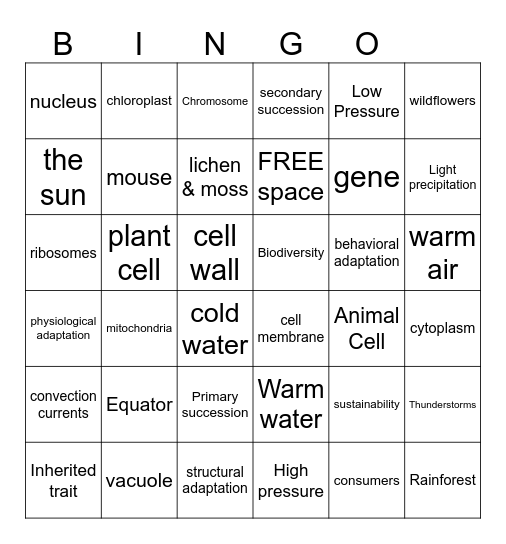 CDB Review Bingo Card