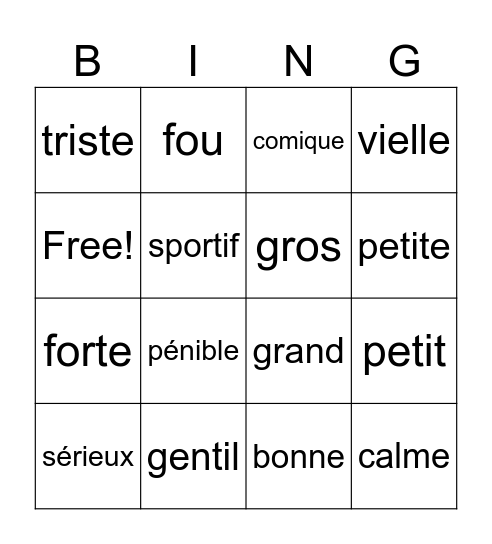 French Descriptions Bingo Card