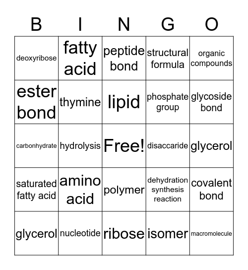 Molecules of Life Bingo Card
