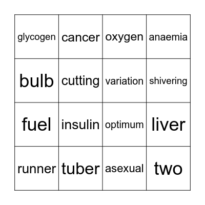 N4 revision bingo Card