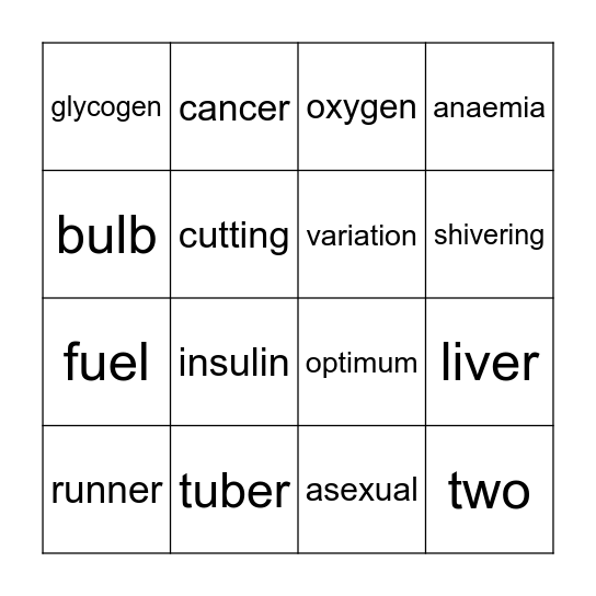 N4 revision bingo Card