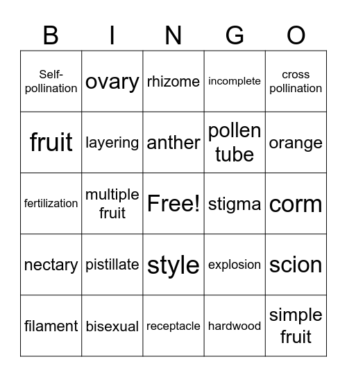 Reproduction Bingo Card