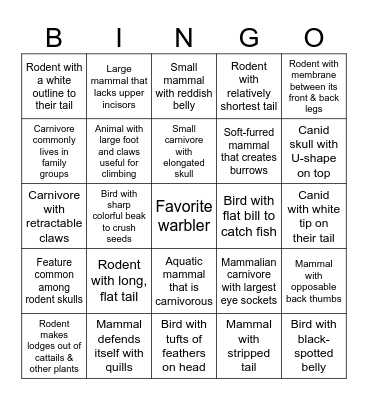 Wildlife Features Bingo Card