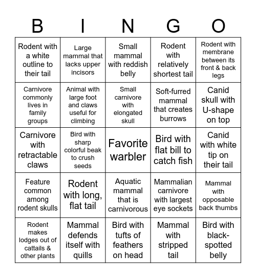 Wildlife Features Bingo Card