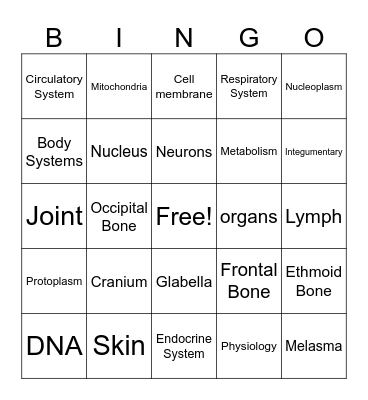 Anatomy and Physiology Bingo Card