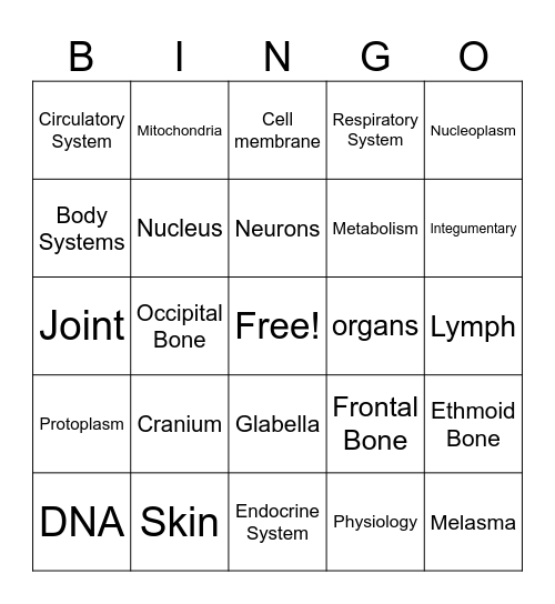 Anatomy and Physiology Bingo Card