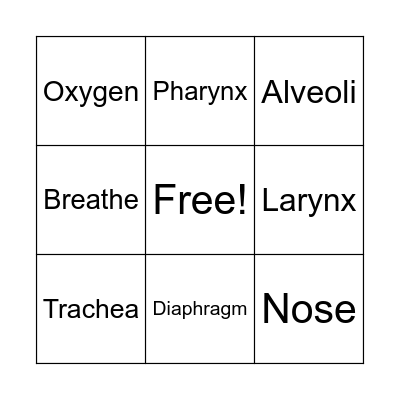 Respiratory System Bingo Card