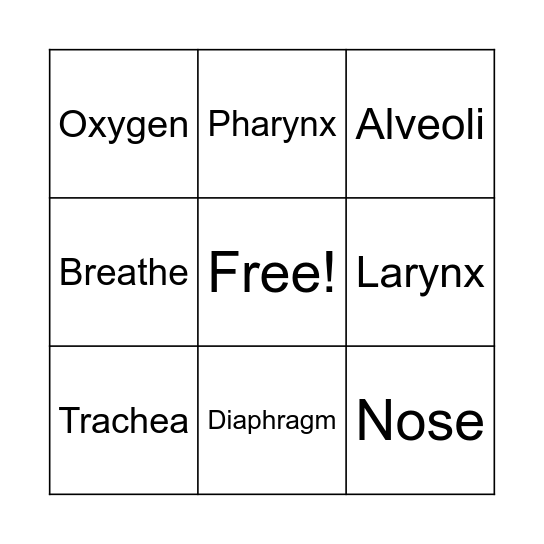 Respiratory System Bingo Card
