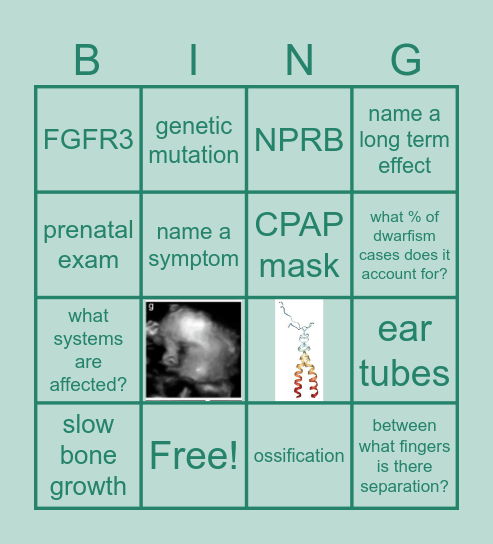 Achondrophasia Bingo Card