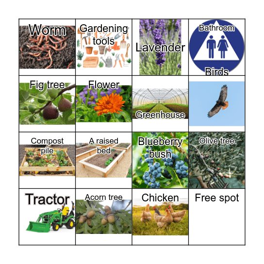 Scavenger hunt Bingo Card