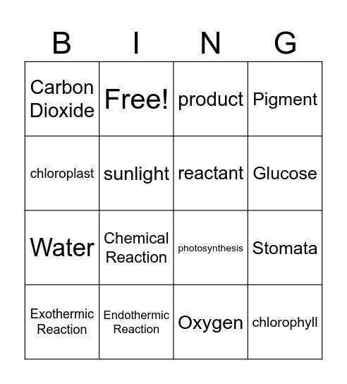 Photosynthesis Bingo Card