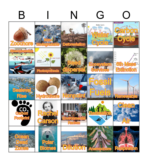 Ecosystem Services & Environmental Degradation 2 Bingo Card