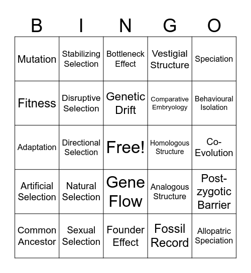 Evolution Bingo Card