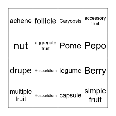 Fruit Types Bingo Card