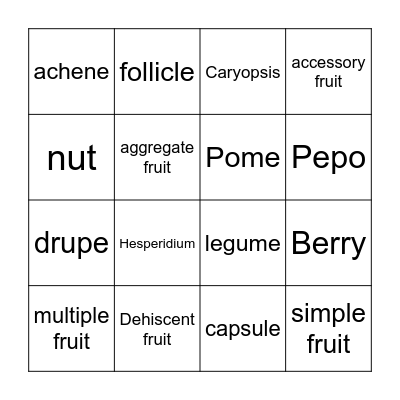 Fruit Types Bingo Card
