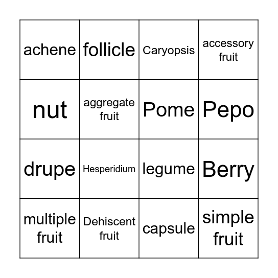 Fruit Types Bingo Card