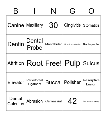 Dental Vocabulary Bingo Card