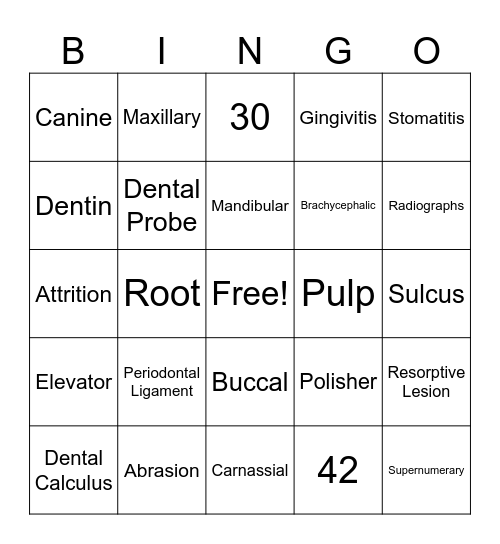 Dental Vocabulary Bingo Card