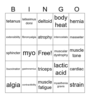 HS I Muscular System Bingo Card