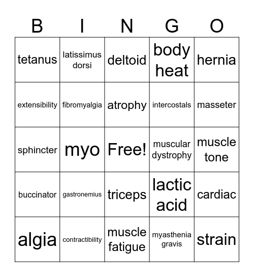 HS I Muscular System Bingo Card