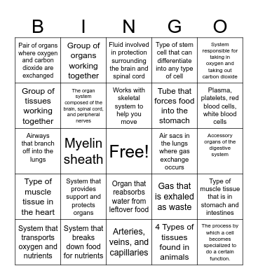 Body Systems Bingo Card