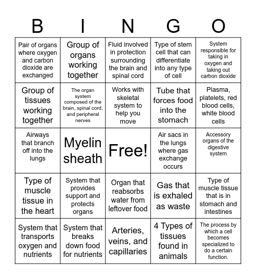 Body Systems Bingo Card