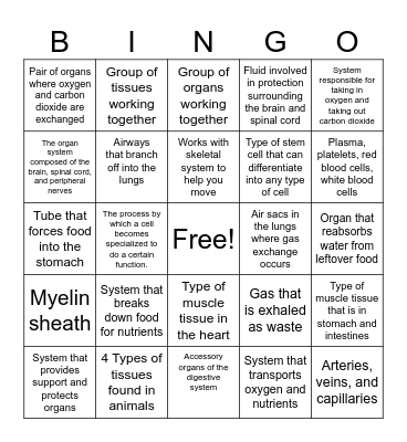 Body Systems Bingo Card