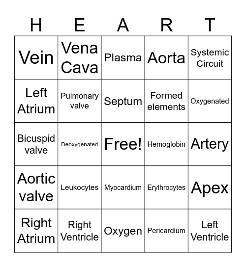 Cardiovascular System Review Bingo Card