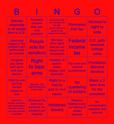 Red White and Amendment Bingo Card