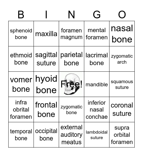 Skull Bingo Card