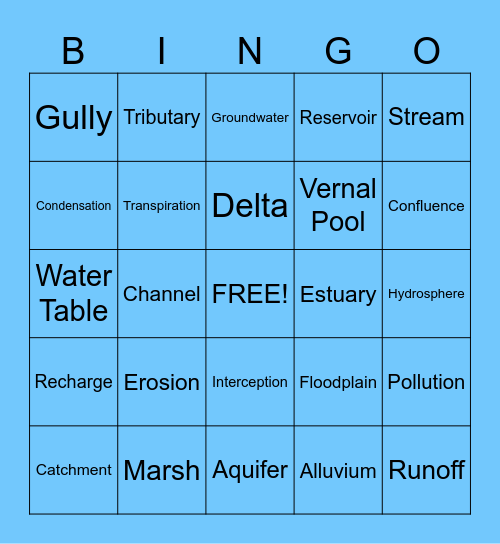 Surface Water Bingo Card