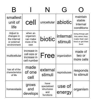 Characteristics of Life Bingo Card