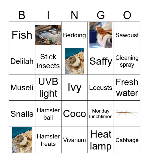 Pet club Christmas bingo Card